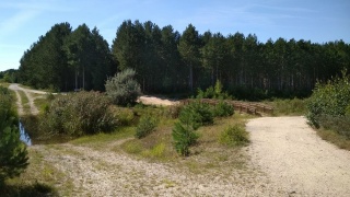 l_rundumgoitzschesee Radverleih Dübener Heide – Tour: Drei-Seen-Tour